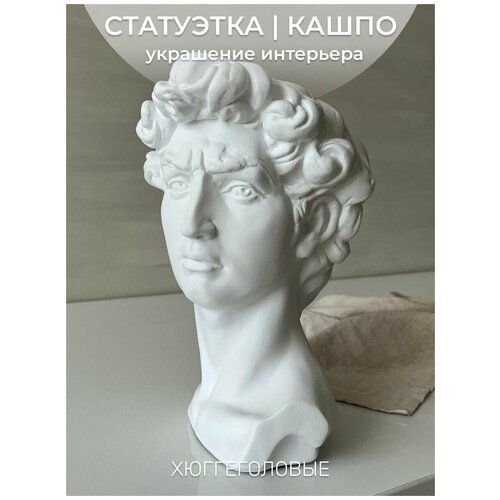 Гипсовая голова / кашпо / органайзер, Давид