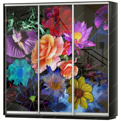 Шкаф-купе Фортуна корпус Байкал Трио 6 с фотопечатью