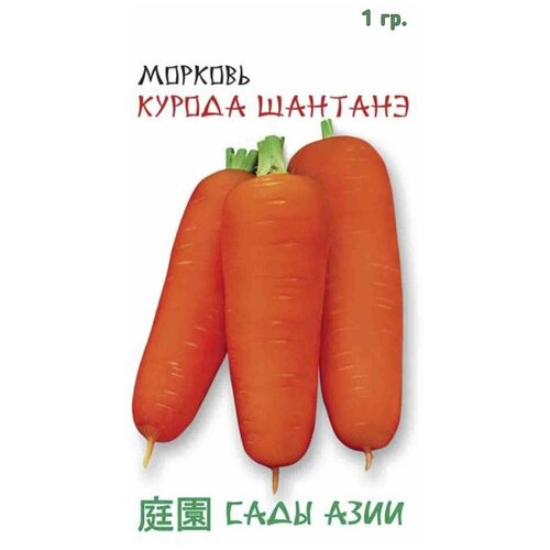 Морковь Шантанэ Курода, 1 г. семян, VITA GREEN морковь курода шантанэ семена