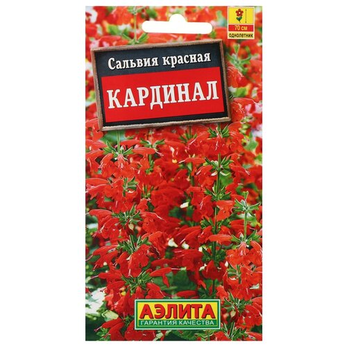 Семена цветов Сальвия Кардинал, О, 0,1 г