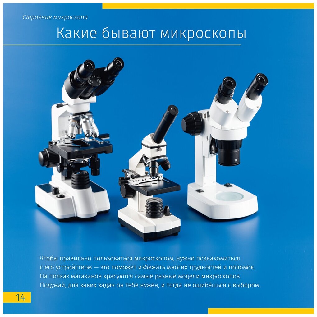 Книга знаний «Невидимый мир» — фото 1