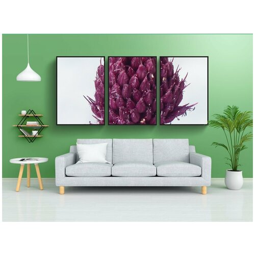 фото Набор модулных постеров для интерьера "обычные розы капусты, цветок, цвести" 60x90 см. в тубусе, без рамки lotsprints