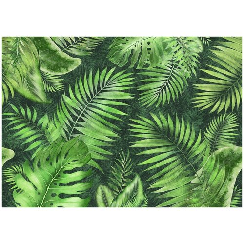 Тропики зелень рисунок - Виниловые фотообои, (211х150 см)