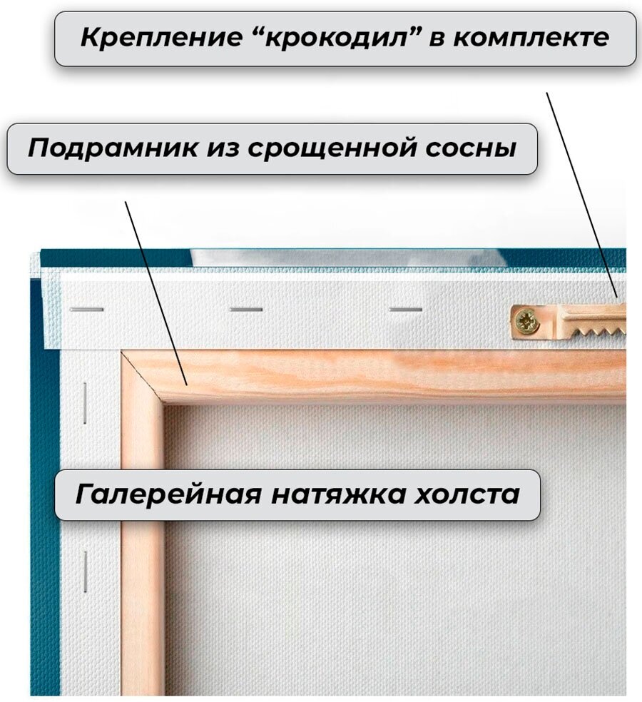 Картина на стену / Картина для интерьера 30х40 Скрудж Макдак