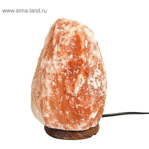 Солевая лампа Ergopower ER 501 220 В 15 Вт 2-3 кг ERGOPOWER 2947009 2910₽