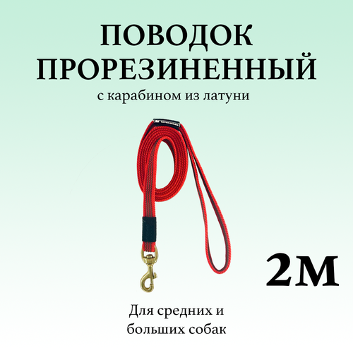 Прорезиненный поводок BITEFORCE для собак с карабином из латуни 2м красный