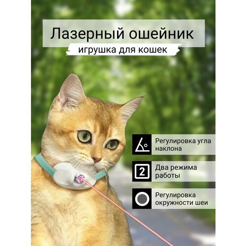 Игрушка для кошек интерактивный лазерный ошейник