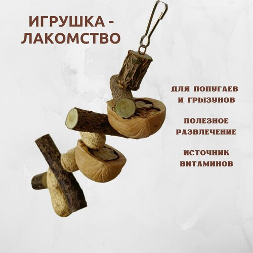 Игрушка-лакомство, для грызунов и птиц, высота 12см, ширина 5см