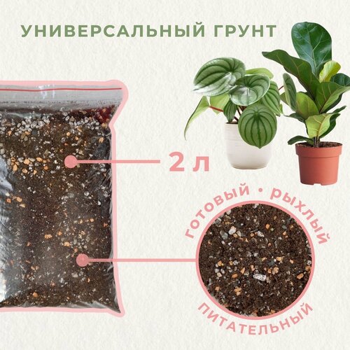 Грунт для фикусов. Готовый грунт для пальм. Универсальный грунт для комнатных растений в горшке. Земля для цветов.