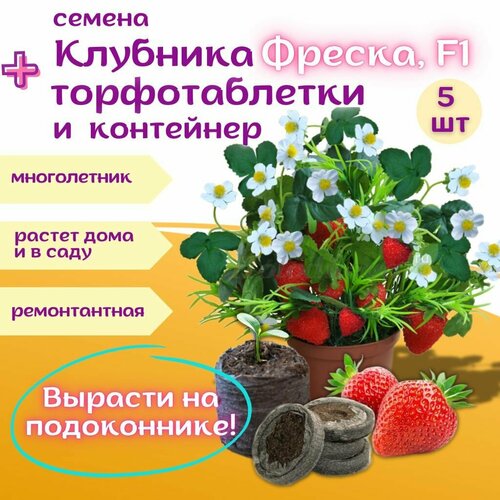 Клубника семена Земляника Фреска f1 + торфяные таблетки, 5шт, набор для выращивания