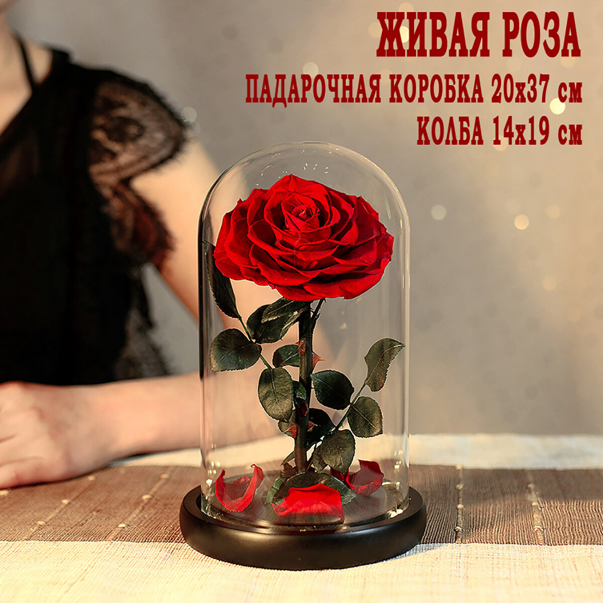 Роза вечная в колбе TheRoseDome | Стабилизированные цветы I красная