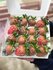 "Лесная сказка Sweet Berry", букет вкусов из свежей клубники и мо...