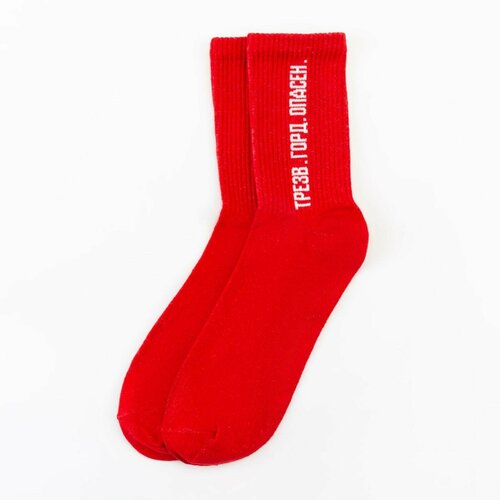 Мужские носки Kaftan, 1 пара, размер 44, красный