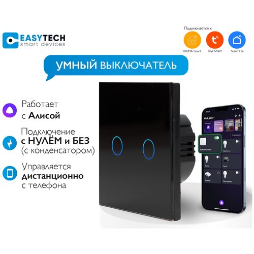 Умный сенсорный стеклянный выключатель с Алисой Easy Tech на 2 группы света, черный, 1000W/ переключатель света