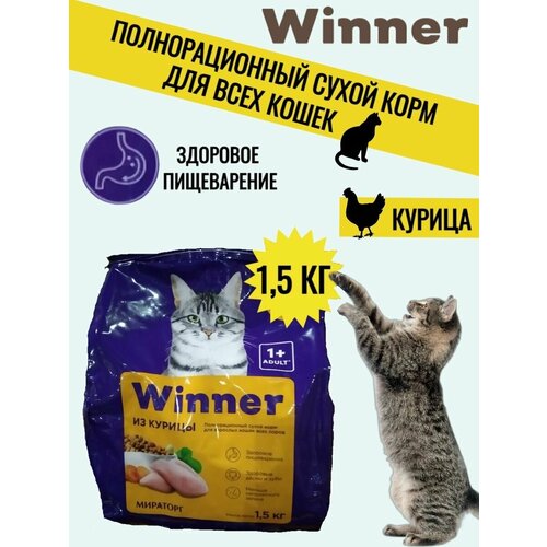 Корм для кошек WINNER/Полнорационный сухой корм для всех пород кошек со вкусом курица, 1,5 кг/ Натуральный, сбалансированный состав