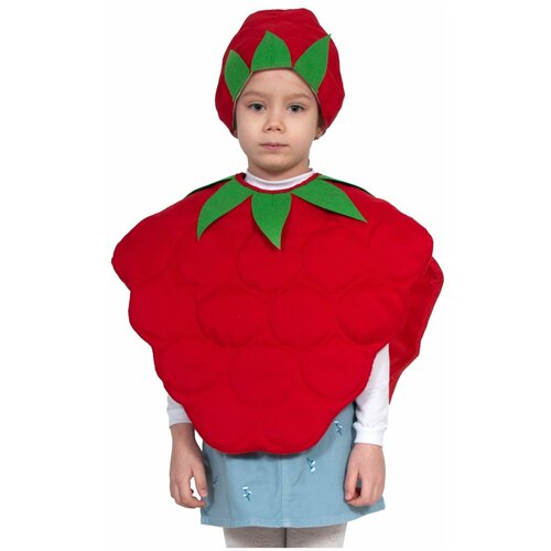 фото Детский костюм малины шапочка накидка карнавалофф 20-01121