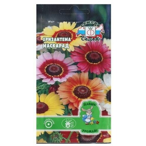 Семена цветок Хризантема Маскарад, 0,1 16 упаковок