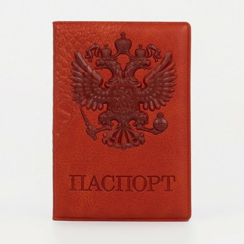 Обложка для паспорта , оранжевый пк кидс тойз дв обложка для паспорта цвет рыжий