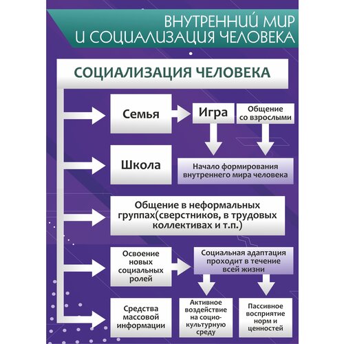 Плакат информационный для кабинета обществознания "Внутренний мир и социализация человека" 50х70см