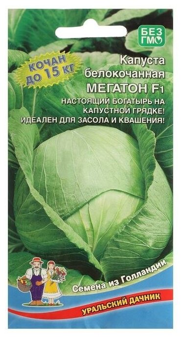 Семена Капуста "Уральский дачник", "Мегатон", F10, 10-12 шт.