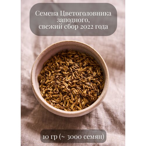 Семена Цветоголовника западного, 10 грамм (примерно 3000 шт)