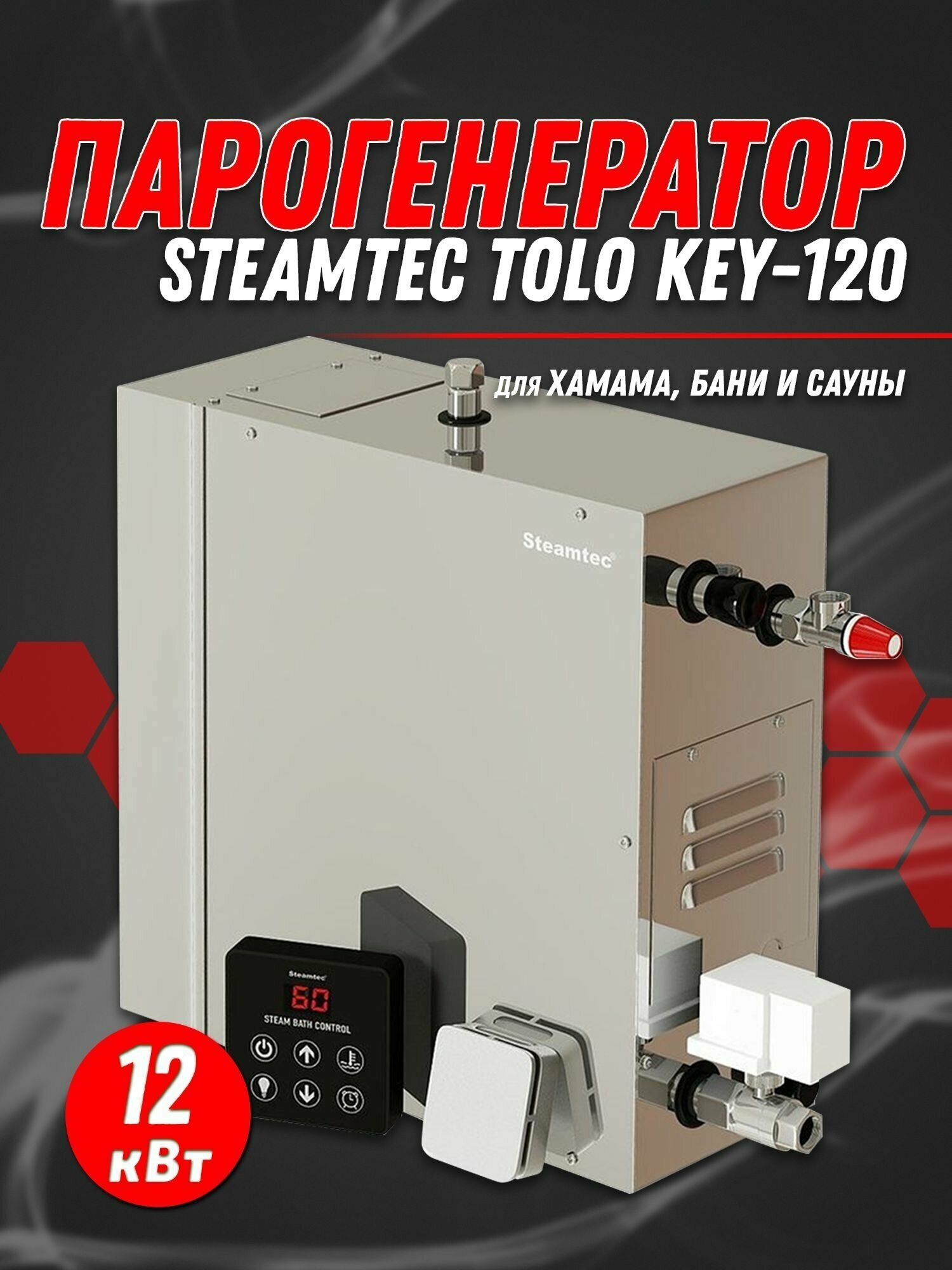 Парогенератор Steamtec TOLO-120-KEY (12 Квт) - фотография № 1