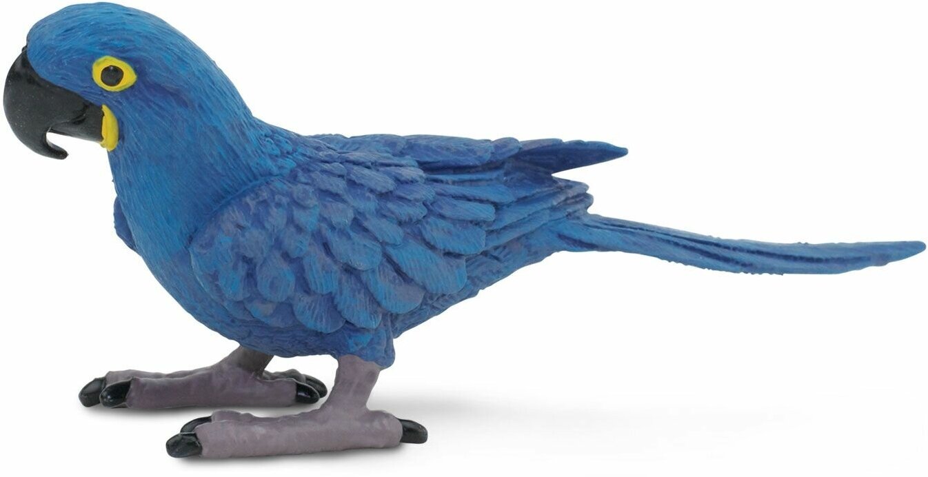 Фигурка животного попугая Safari Ltd Гиацинтовый ара, для детей, игрушка коллекционная, 264229