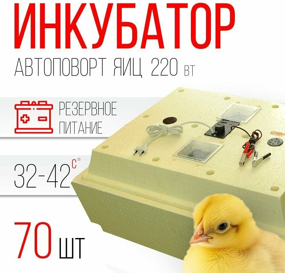 Инкубатор Золушка 70 яиц (автоматический переворот, терморегулятор, 220В/12В) - фотография № 1