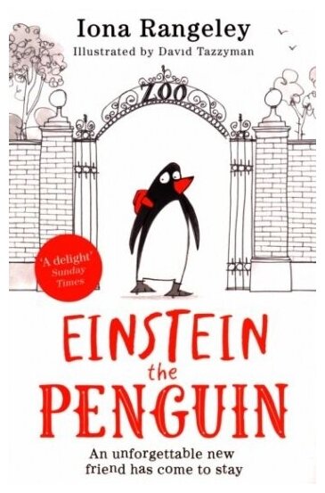 Einstein the Penguin (Rangeley Iona) - фото №1