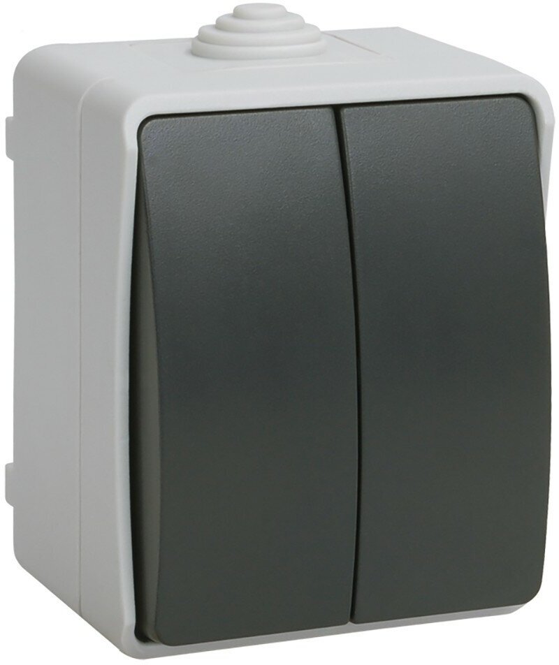 фото Выключатель двухклавишный накладной IEK Форс ВС20-2-0-ФСр, 10 А, IP54, серый