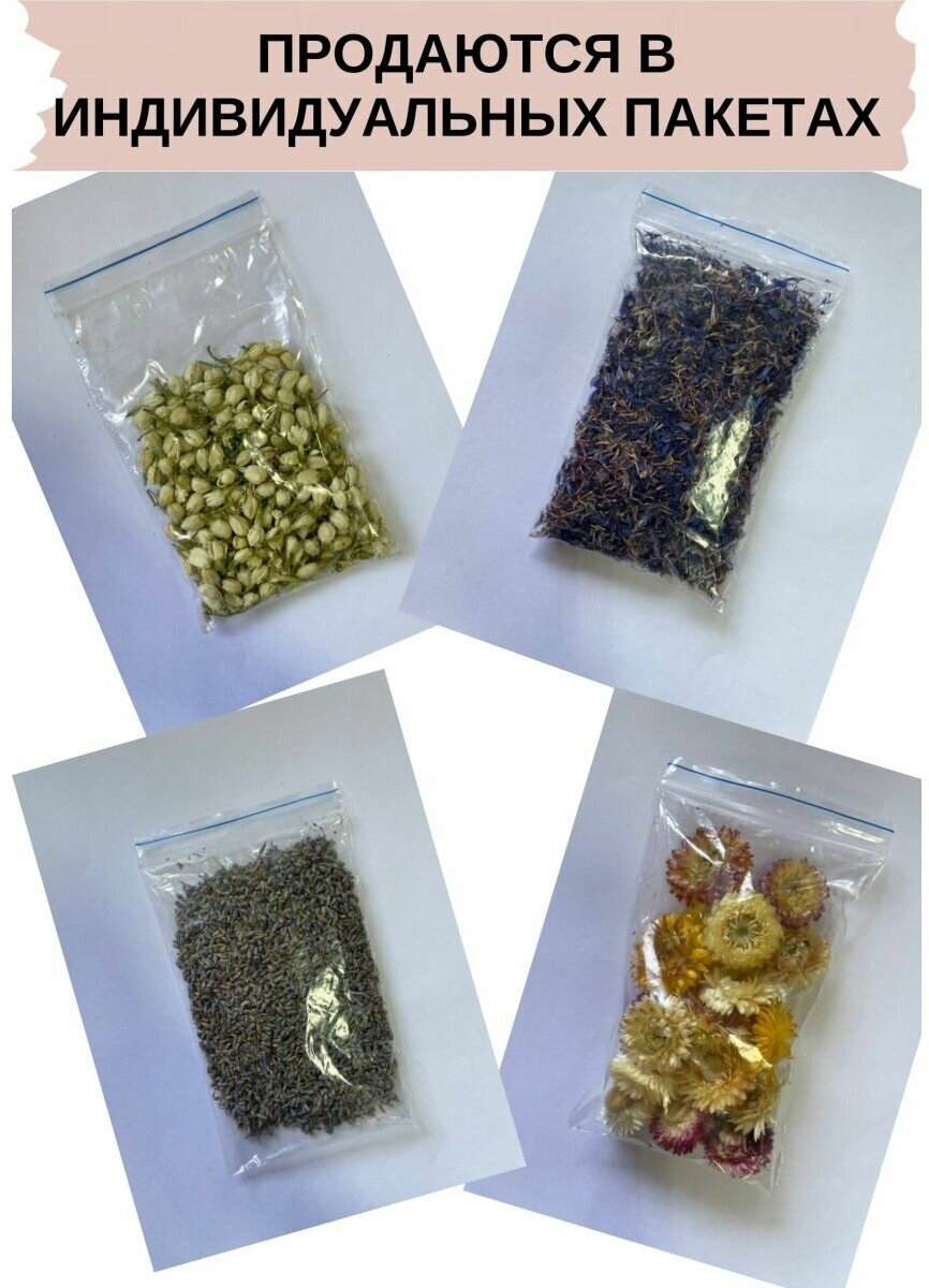 Набор сухоцветов для творчества и приготовления чая (7 шт по 10 гр) - фотография № 2