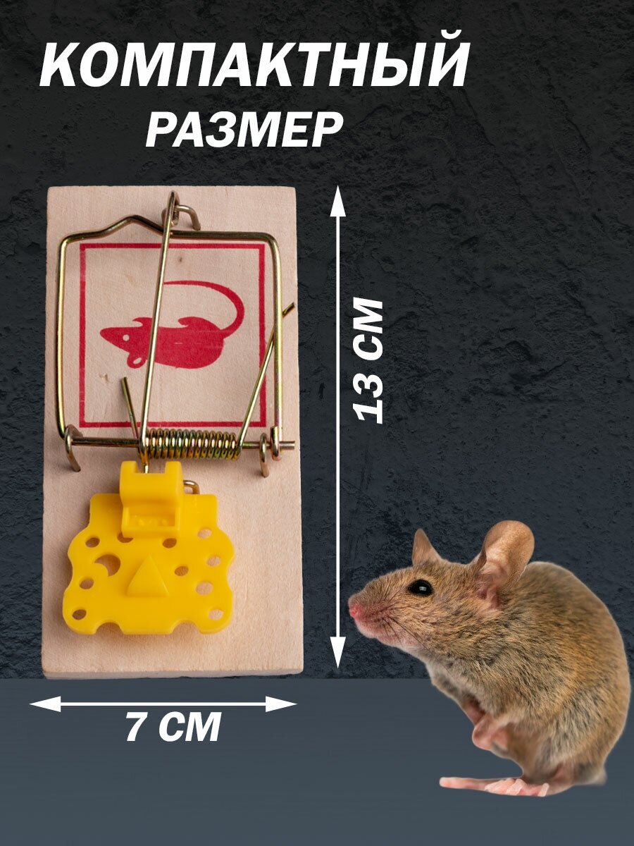 Мышеловка капкан ловушка для мышей - фотография № 3