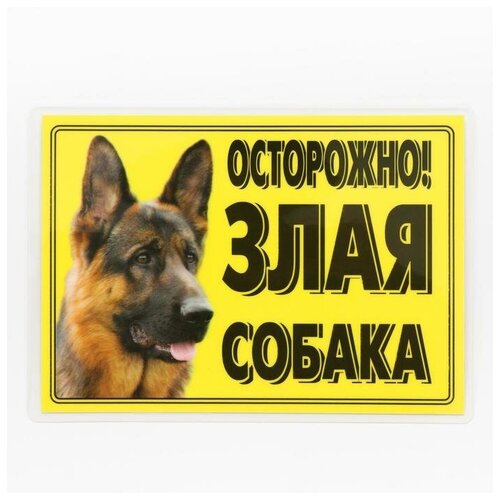 Табличка ламинированая Осторожно! Злая собака Овчарка наклейка duck and dog 10х10 43 осторожно злая собака