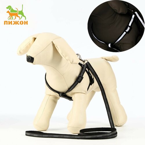 Комплект Спорт светоотражающий, ширина 1 см, поводок 1,2 м, шлейка 23-35 см, чёрный шлейка для собак поводок для собак светоотражающий ширина 1 см чёрный