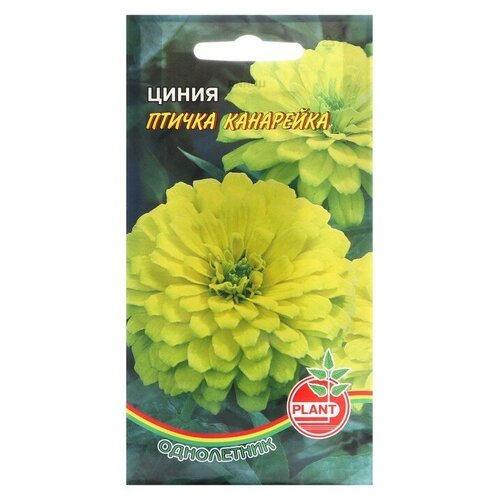 Семена цветов Циния 