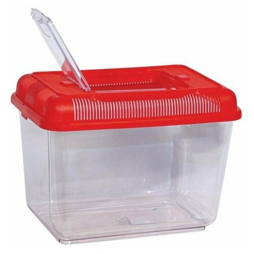 Террариум-переноска 24х16х17см пластик3 шт 4757₽