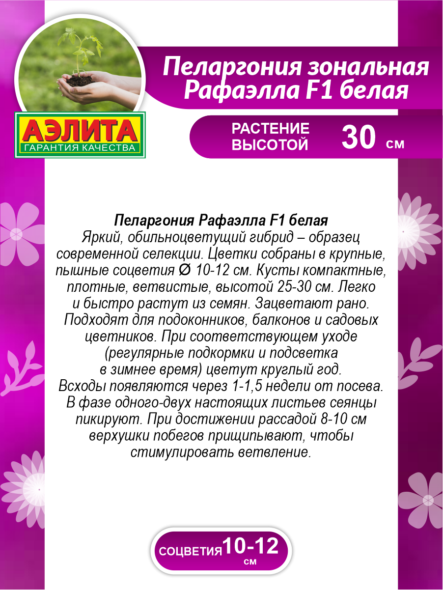 Семена Агрофирма АЭЛИТА Пеларгония Рафаэлла F1 белая 5 шт. — фото 4