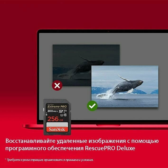 Карта памяти SanDisk SDXC 256GB Extreme Pro UHS-I V30 U3 200/140 MB/s