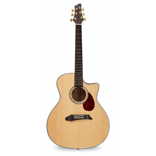 takamine gln11e ns электроакустическая гитара цвет натуральный NG AM411SCE NA электроакустическая гитара, цвет натуральный