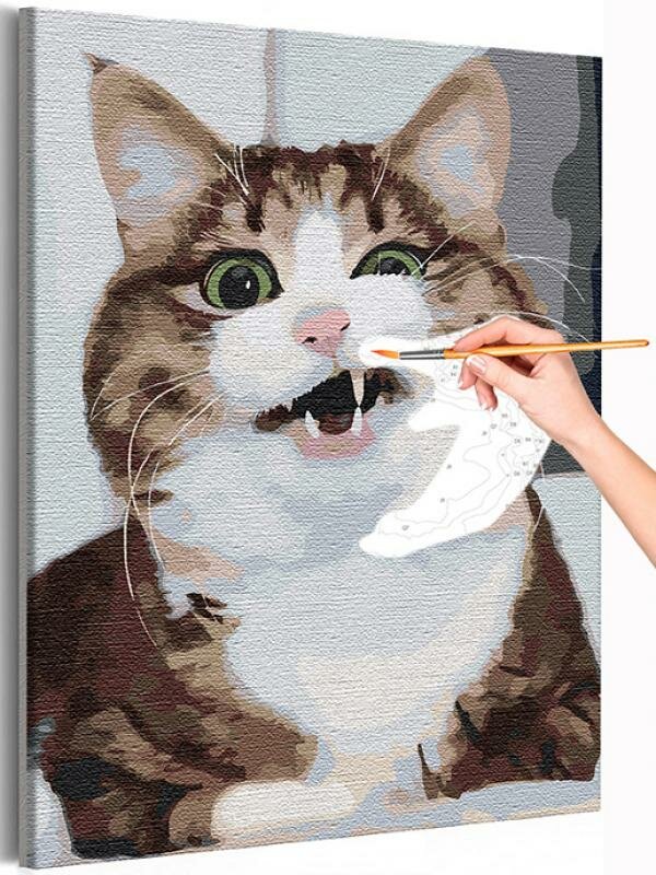 Улыбка кота / Кошки / Животные Раскраска картина по номерам на холсте 30х40