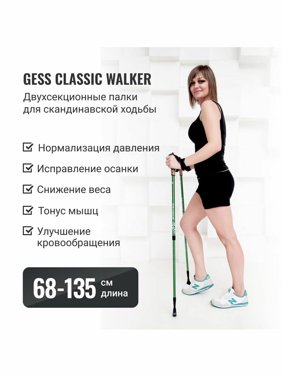 Палки для скандинавской ходьбы Classic Walker