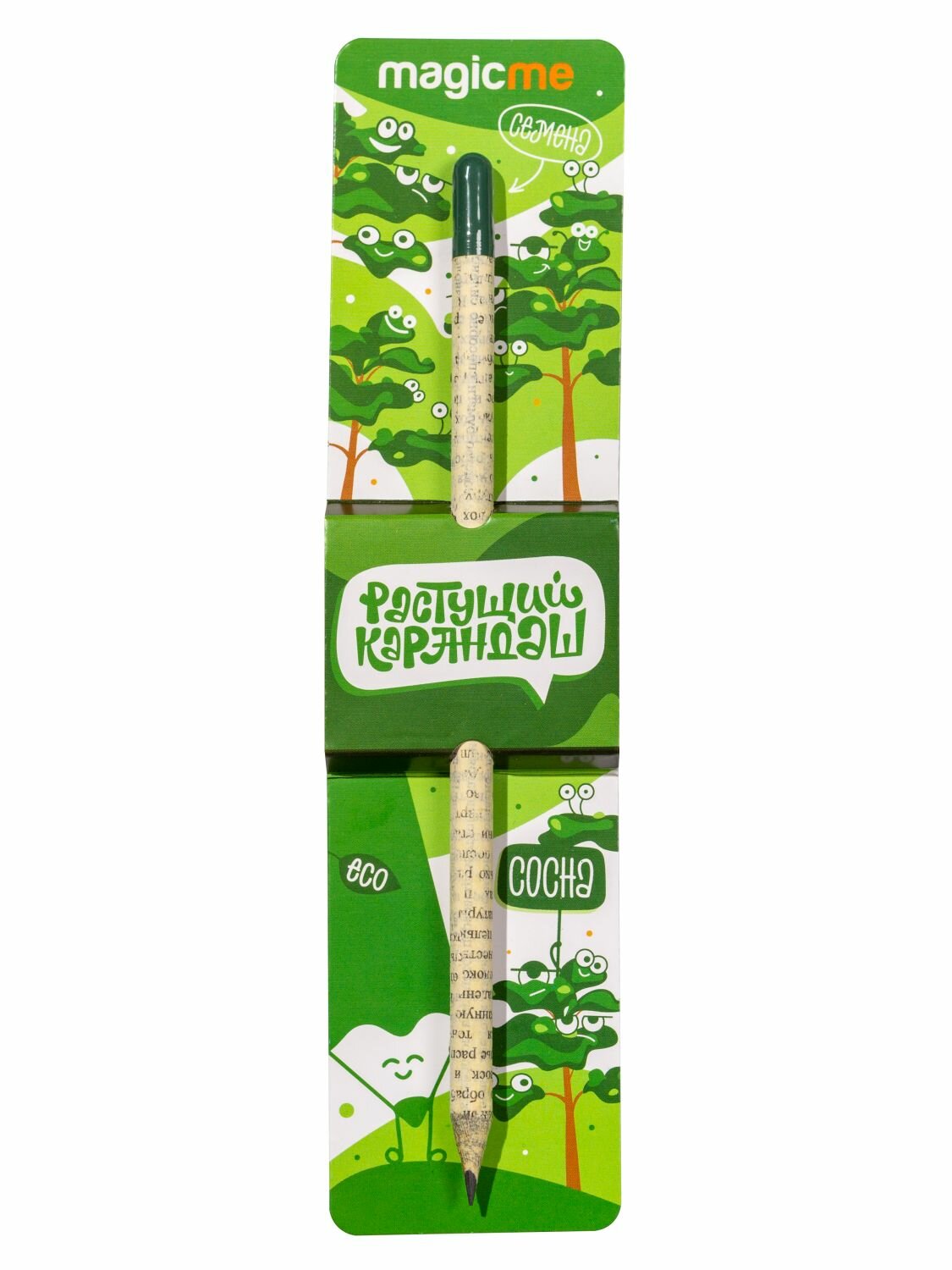 фото Растущий карандаш Сосна Обыкновенная