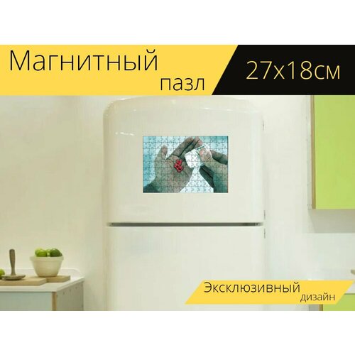 Магнитный пазл Таблетка, медицина, таблетки на холодильник 27 x 18 см. магнитный пазл таблетка таблетки медицинские на холодильник 27 x 18 см