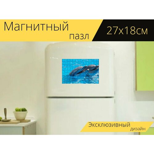 Магнитный пазл Дельфины, млекопитающие, животные на холодильник 27 x 18 см.