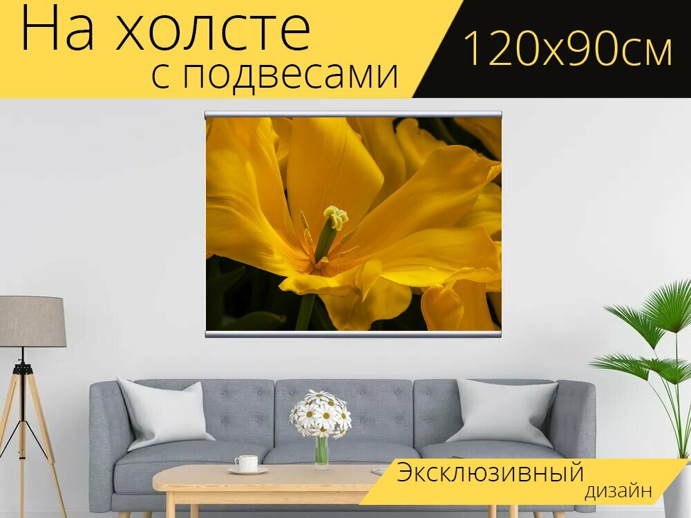 Картина на холсте "Тюльпан, желтый, цветок" с подвесами 120х90 см. для интерьера