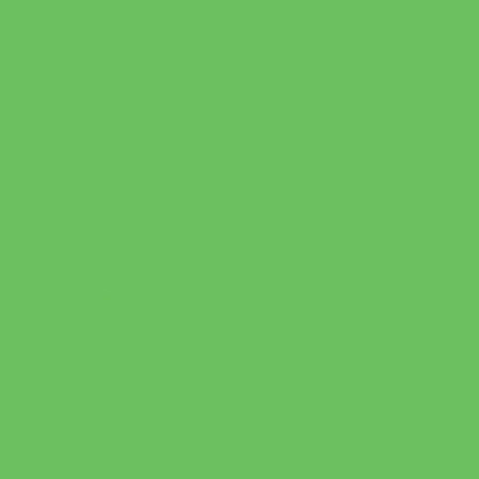 Фон Colortone 2 BDSV-2.75-46 2.75x11м green