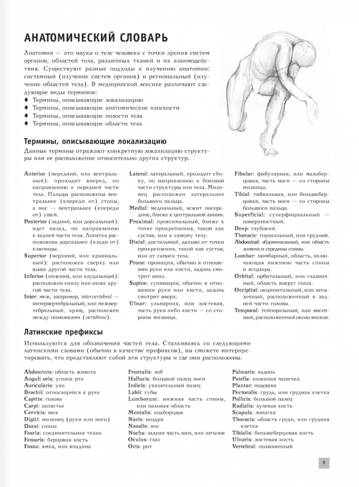 Анатомия для художников (Крауч Дженнифер) - фото №5