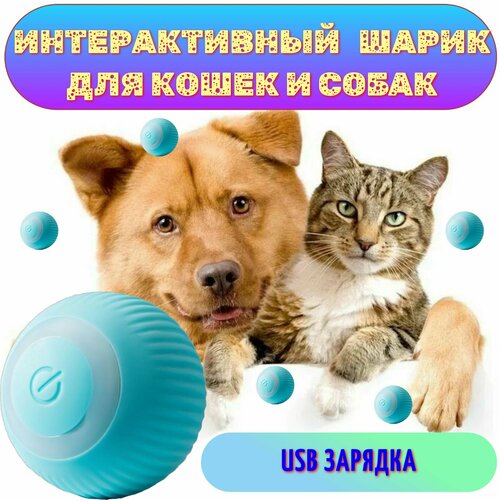 Интерактивная игрушка для животных (синяя)/Игрушка для кошек и собак мелких пород/Дразнилка для животных интерактивная игрушка рыба для кошек и собак мелких пород