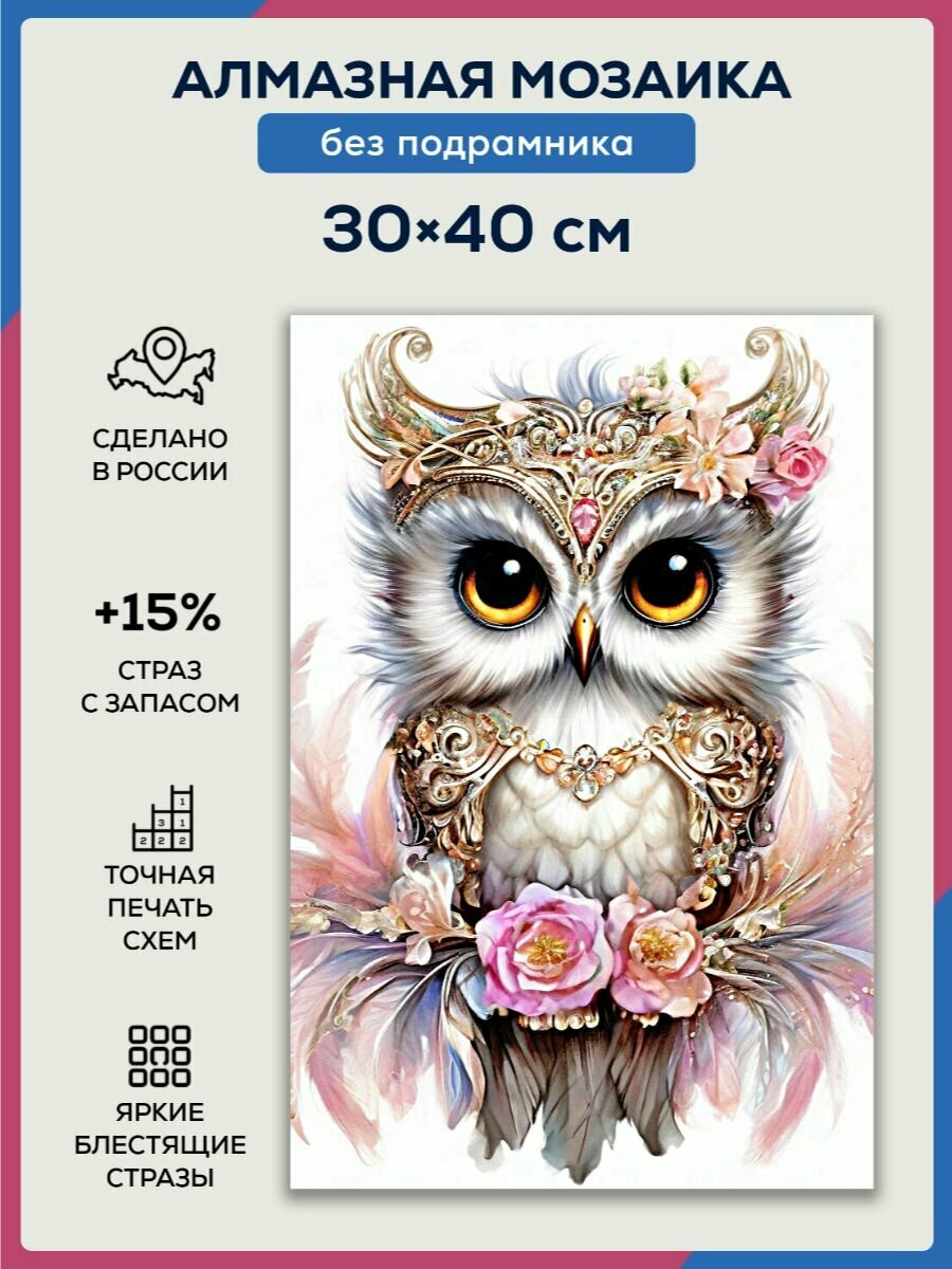 Алмазная мозаика 30x40 Милая совушка без подрамника