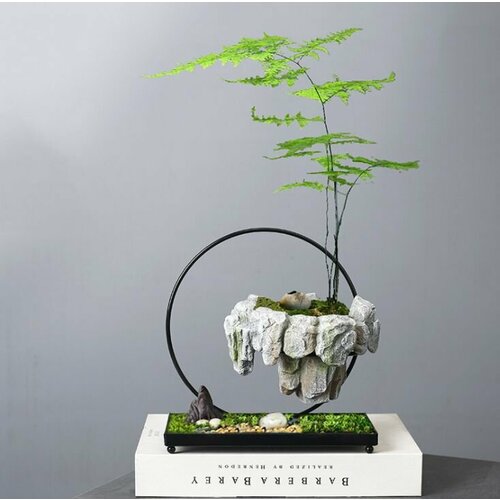 Горшок для бонсай, DAENERO, кактусов, суккулентов, кашпо для цветов